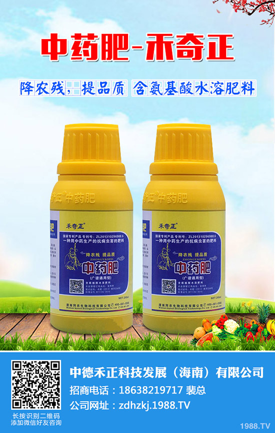 金絲瓜如何栽培，金絲瓜種植小技巧！