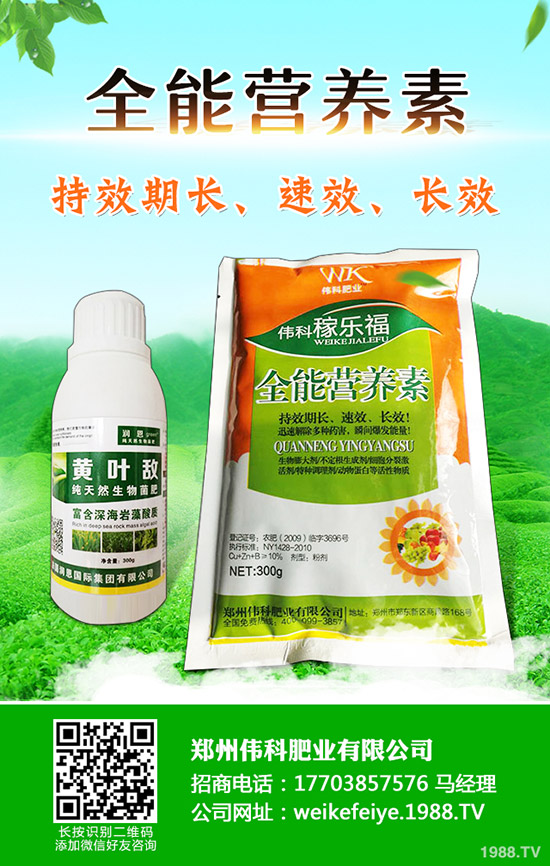 柿子樹怎么嫁接，柿子樹嫁接時(shí)間和方法！