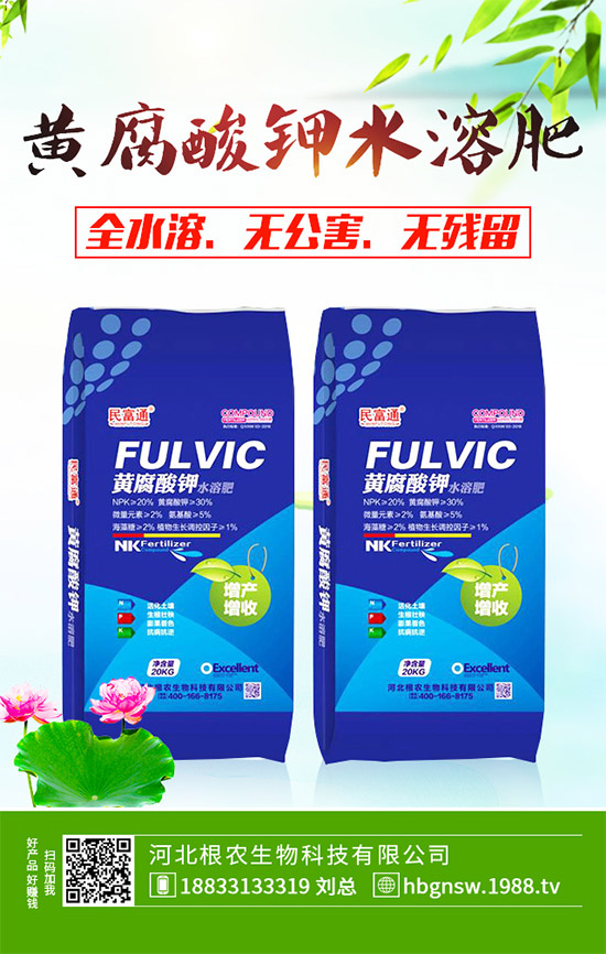 茼蒿該怎么吃?茼蒿的營養(yǎng)吃法及注意事項(xiàng)