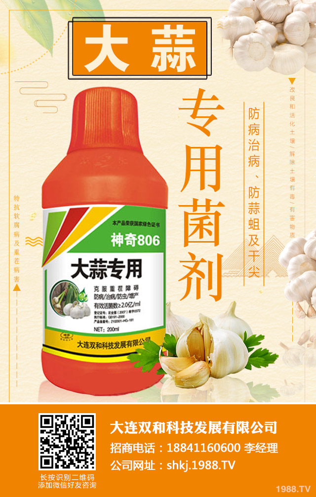 大蒜重茬病害如何防治?大蒜重茬病害防治技巧