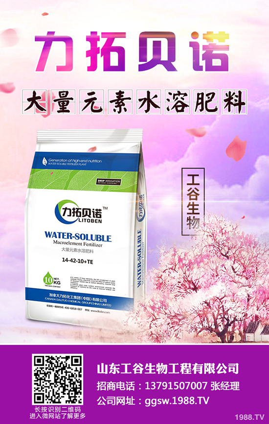 秋冬季小油菜如何種植？秋冬季小油菜種植技術及田間管理方法！