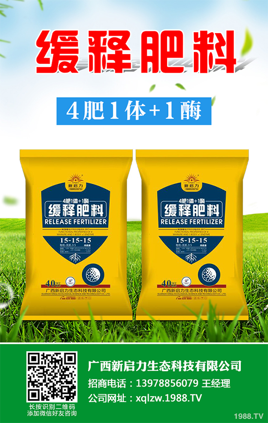 秋甘藍該怎么種植?秋甘藍高產(chǎn)種植技術(shù)