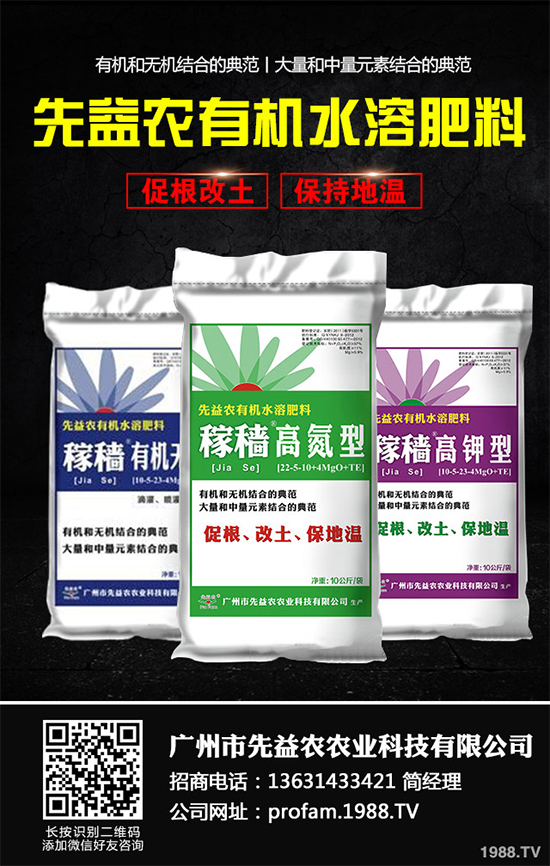 秋甘藍該怎么種植?秋甘藍高產(chǎn)種植技術(shù)