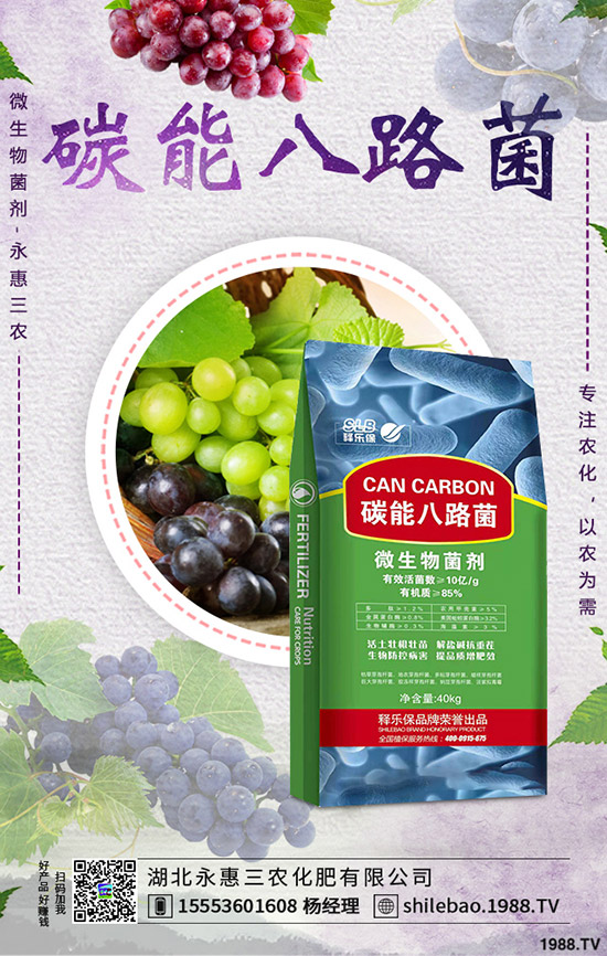 2019-9-7最新鉀肥價(jià)格行情動(dòng)態(tài)評(píng)述,多少錢(qián)一噸?