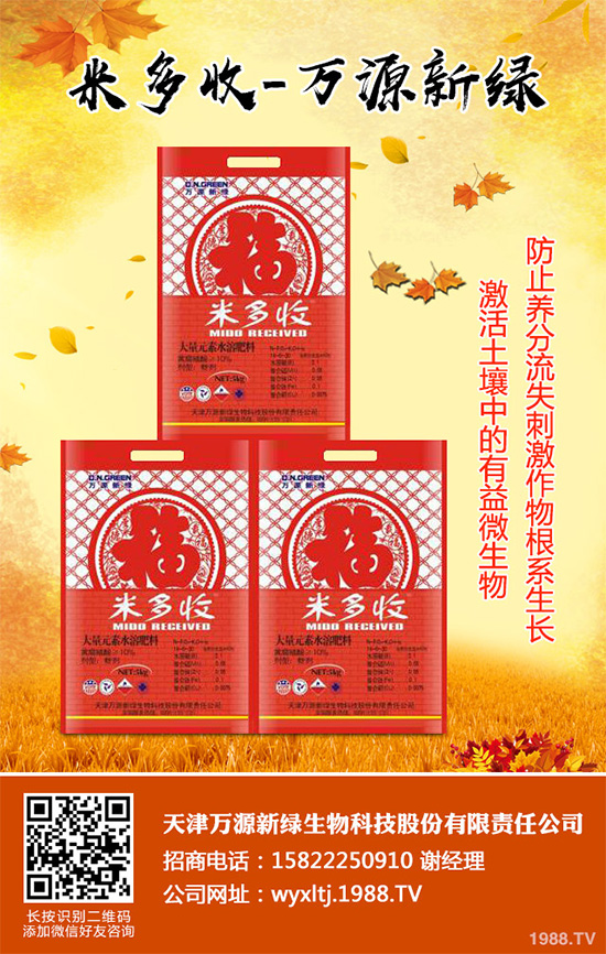 萵苣霜霉病危害這么大，你知道該如何防治嗎？萵苣霜霉病防治方法