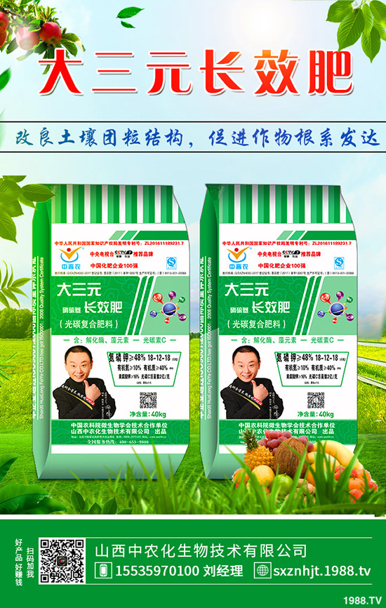     秋季大蔥如何管理？秋季大蔥種植管理方法及技術(shù)！