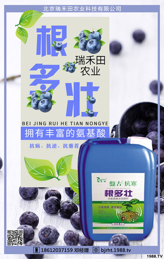 西紅柿什么時(shí)間種植，西紅柿種植技巧