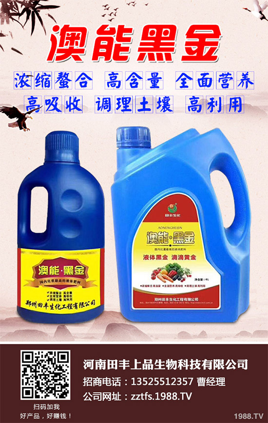 卷心菜有哪些營養(yǎng)價(jià)值?吃卷心菜有哪些好處?教你吃出健康!