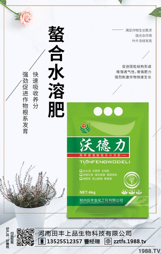 卷心菜有哪些營養(yǎng)價(jià)值?吃卷心菜有哪些好處?教你吃出健康!