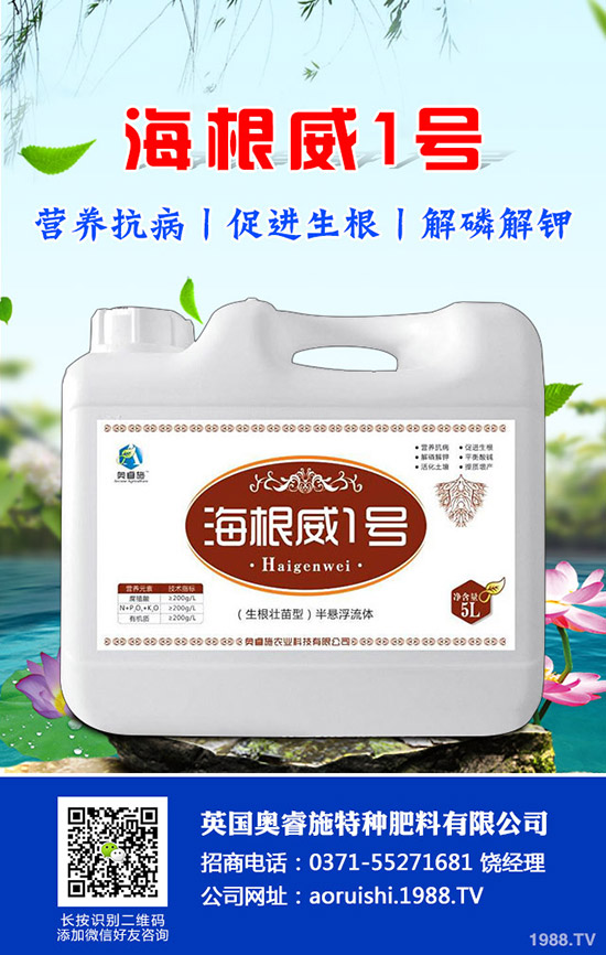 吃芋頭有哪些好處，芋頭的營(yíng)養(yǎng)價(jià)值及食用禁忌！