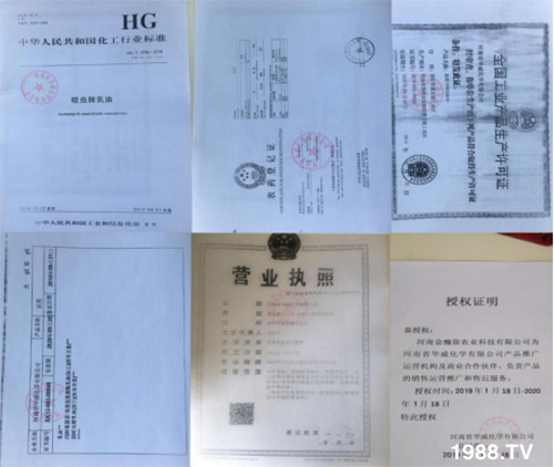 防治高抗性白粉虱——殺蟲殺卵一招制敵