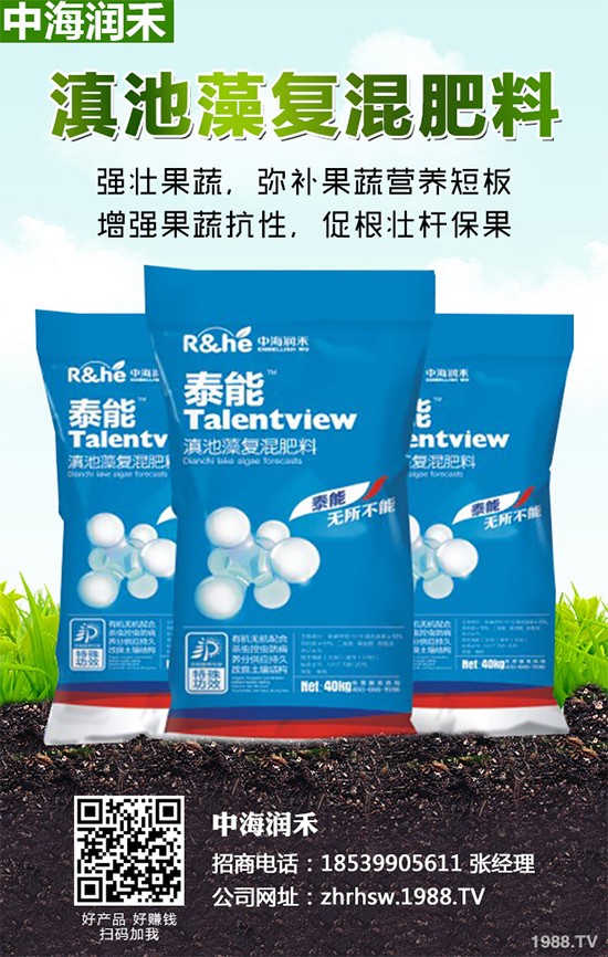 棉花怎么種植產量高?六大技巧讓你的棉花田輕松高產