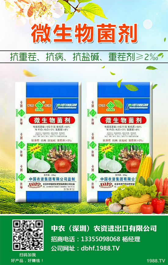 棉花怎么種植產量高?六大技巧讓你的棉花田輕松高產