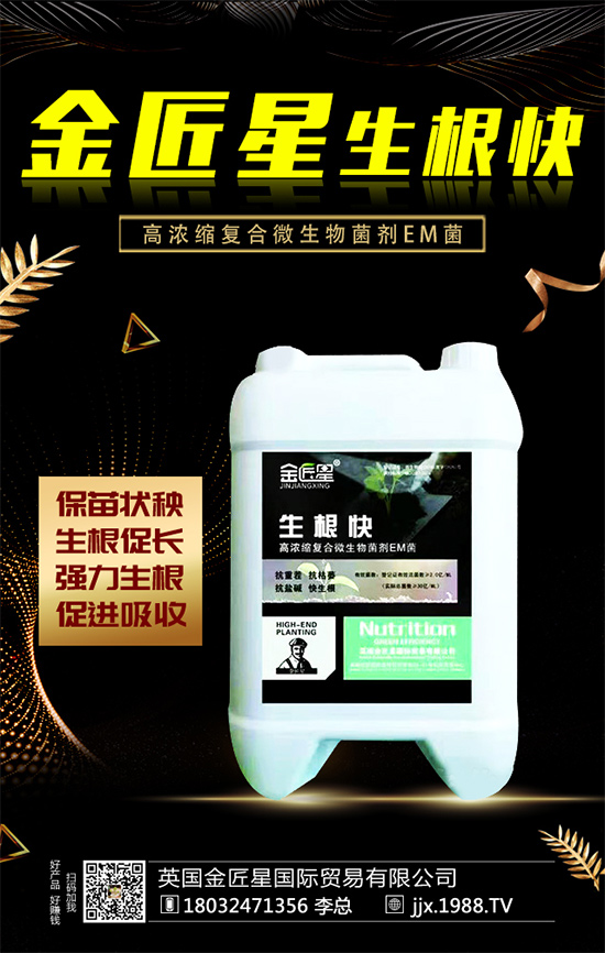 油茶樹的生長(zhǎng)特性，油茶樹怎么種植？
