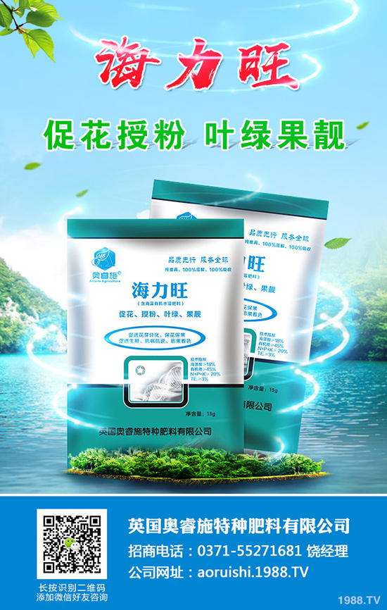 現(xiàn)在種植沙糖桔還賺錢(qián)嗎？沙糖桔種植技術(shù)大全