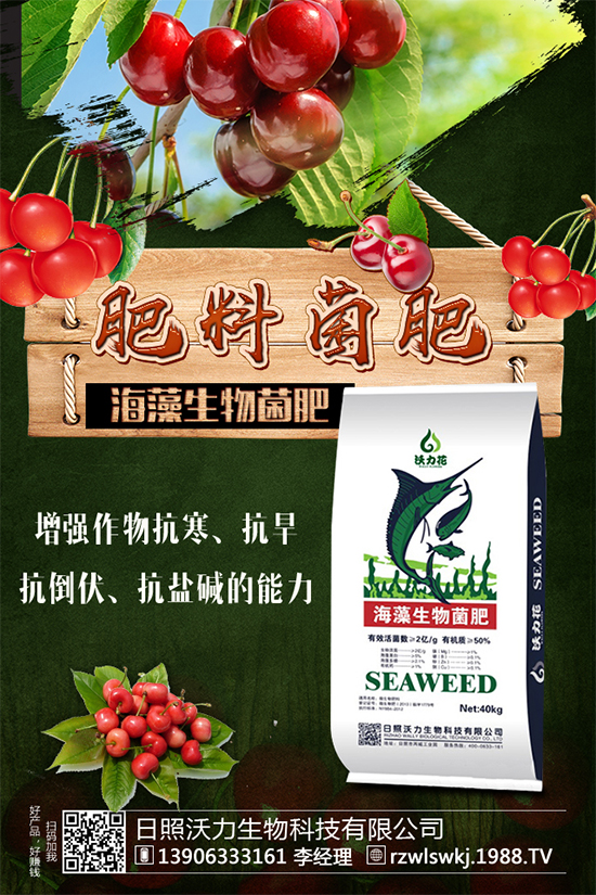 土豆怎么施肥？施什么肥料？土豆施肥要點(diǎn)！