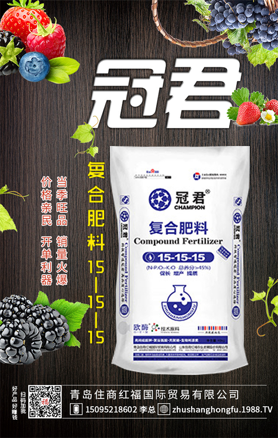 紫甘藍(lán)怎么管理?冬春茬紫甘藍(lán)種植管理要點!