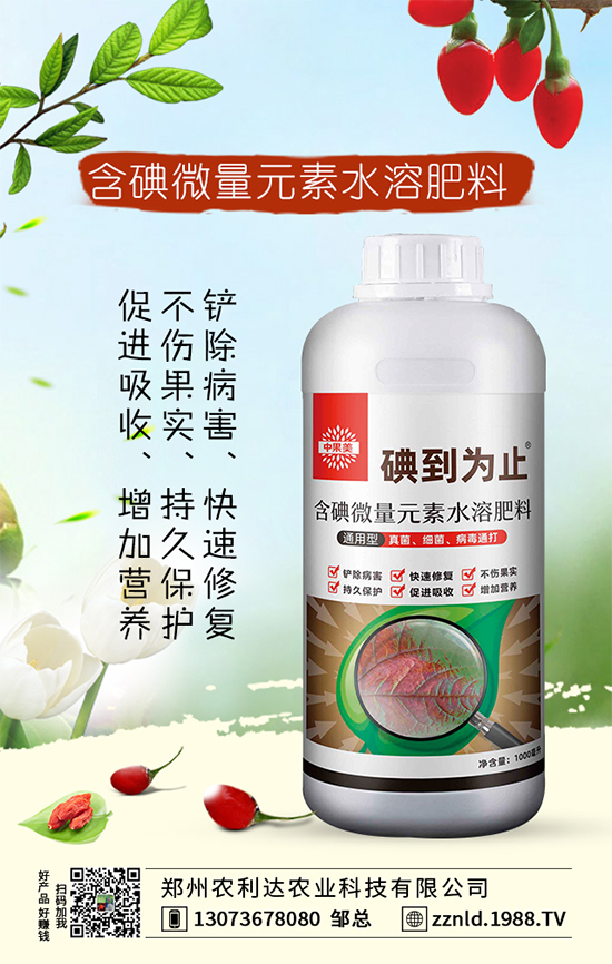 沙糖桔施肥要講究方法和技巧!