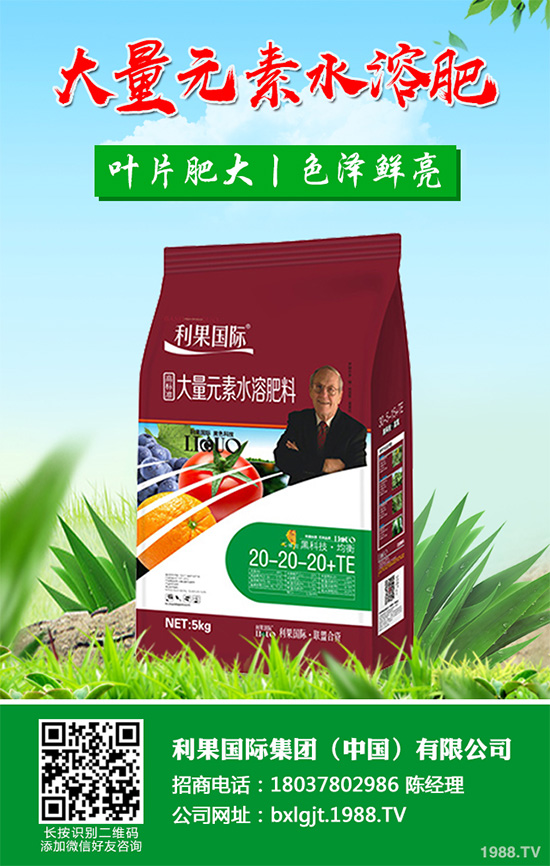 芹菜斑枯病有哪些危害癥狀?芹菜斑枯病的危害及防治