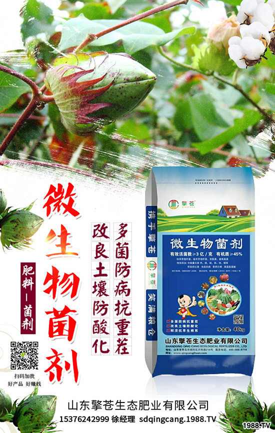 春節(jié)來(lái)臨!2020年1月尿素能否挺價(jià)?尿素行情走勢(shì)預(yù)測(cè)!