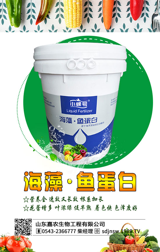 黃花菜什么季節(jié)種植好？2020年黃花菜種植前景及利潤分析！