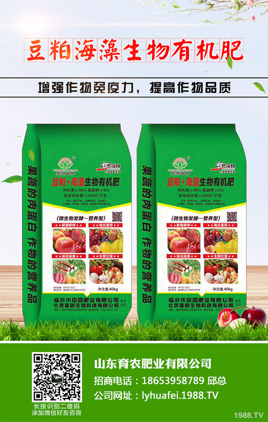 芹菜早疫病有哪些危害癥狀?芹菜早疫病的癥狀及防治措施