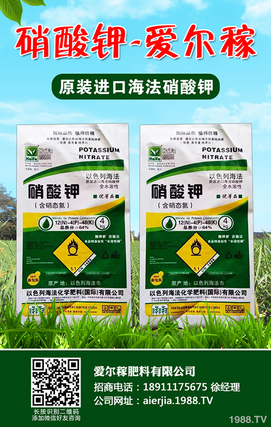 常吃蘆筍對人體有哪些好處?蘆筍的功效作用及營養(yǎng)價(jià)值