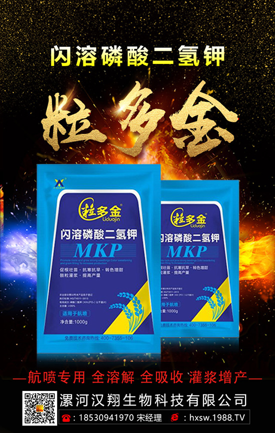 ������ηNֲ�θ߮a(ch��n)���������ӵĿƌW(xu��)�Nֲ������