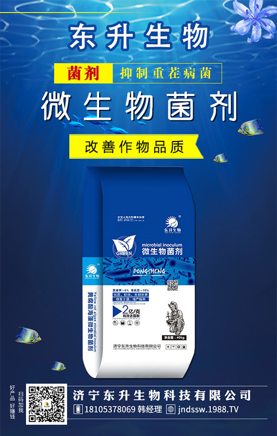 石榴樹什么時候嫁接好？石榴樹嫁接方法有哪些呢？