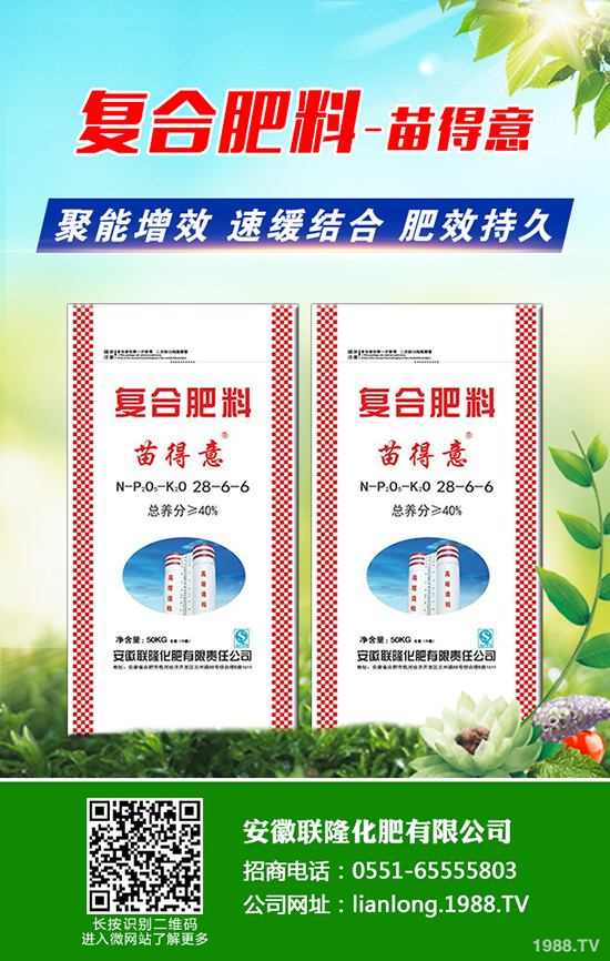 八角楓產(chǎn)地在哪?八角楓怎么種植?