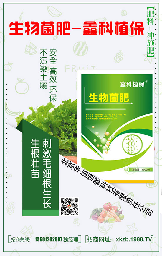 君子蘭的科學種植技巧,讓自己的花朵更艷麗!