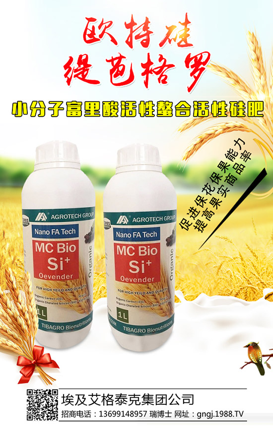 大棚辣椒結(jié)果少是怎么回事，怎樣提高辣椒坐果率？