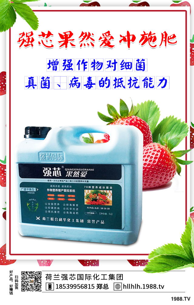 2020年種植什么蔬菜能掙錢(qián)?2020年蔬菜種植前景分析