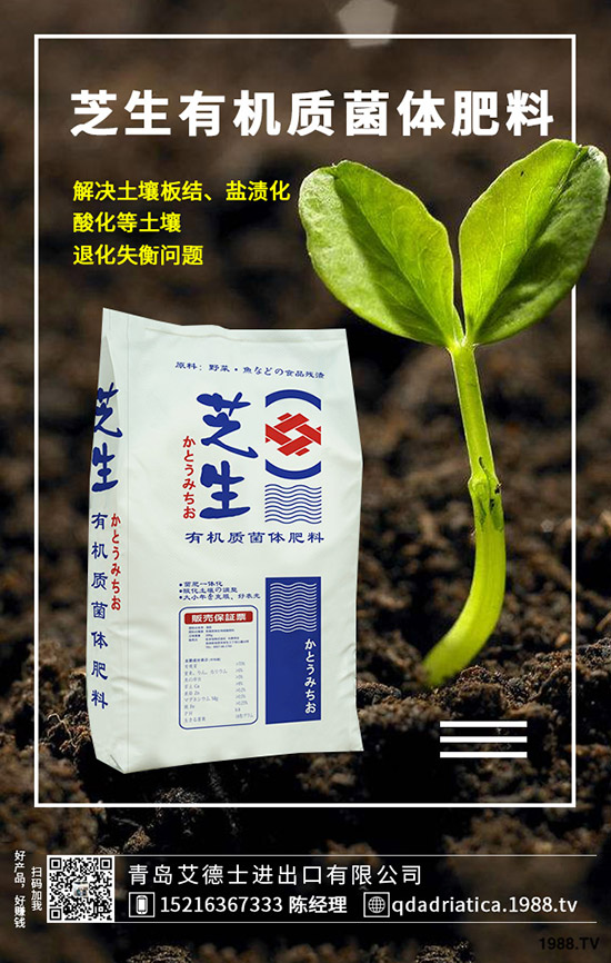 櫻桃有哪些營養(yǎng)價值,櫻桃的功效與作用是什么,如何選購?