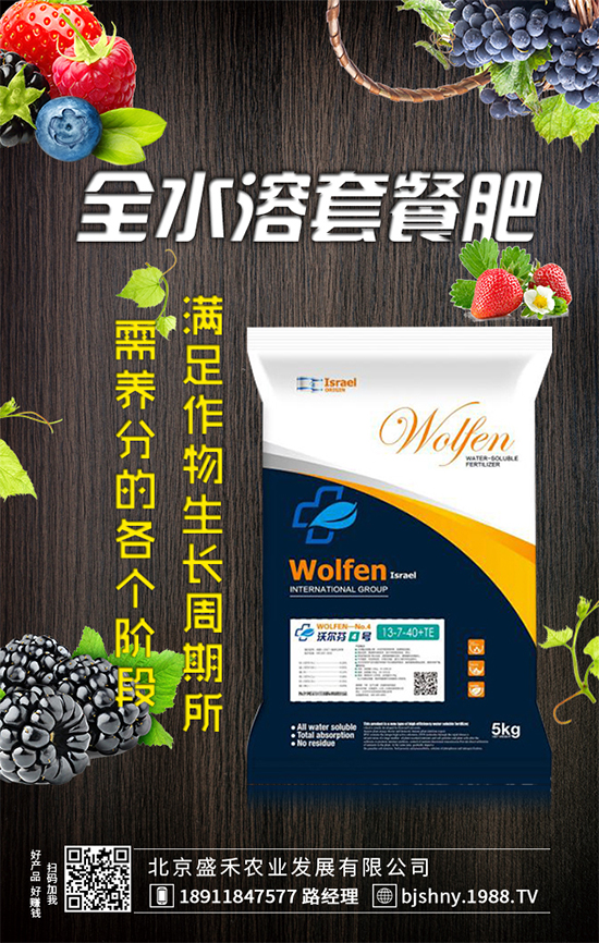 葫蘆種植時間是什么時候?葫蘆高產(chǎn)種植方法!