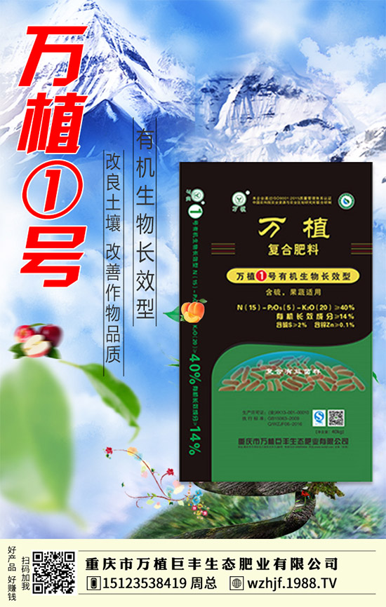     臨近年末，二銨市場行情依舊低落！2020-1-4今日最新二銨價格早報！