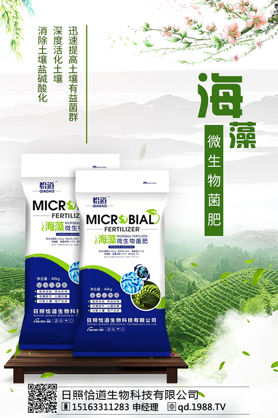 松茸有哪些營養(yǎng)價(jià)值?吃松茸有什么好處?