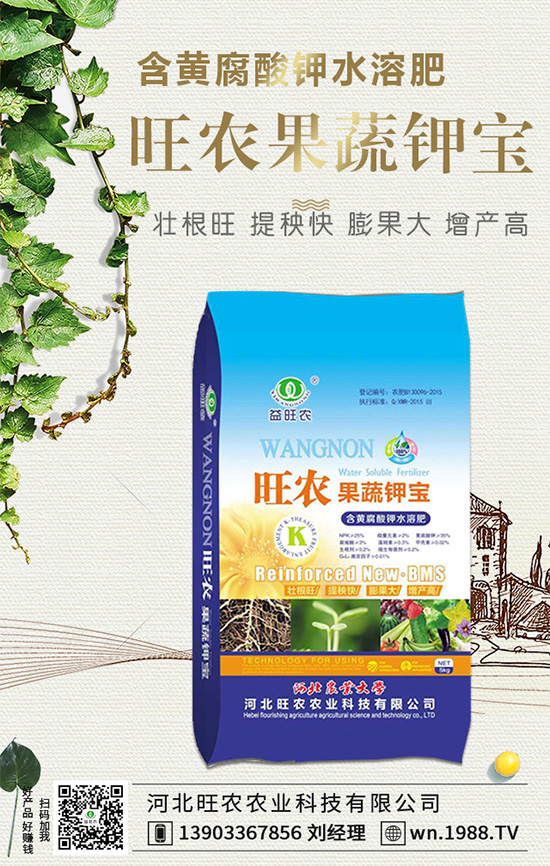 郁金香生長(zhǎng)習(xí)性有哪些？郁金香養(yǎng)護(hù)要點(diǎn)！