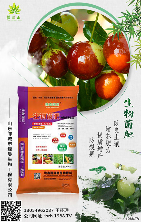 西蘭花什么時候種植?西蘭花種植注意事項(xiàng)!