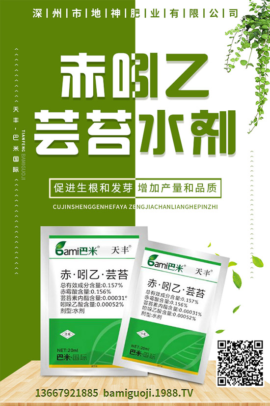 紅薯的營養(yǎng)價值有哪些，紅薯的功效作用與使用禁忌！