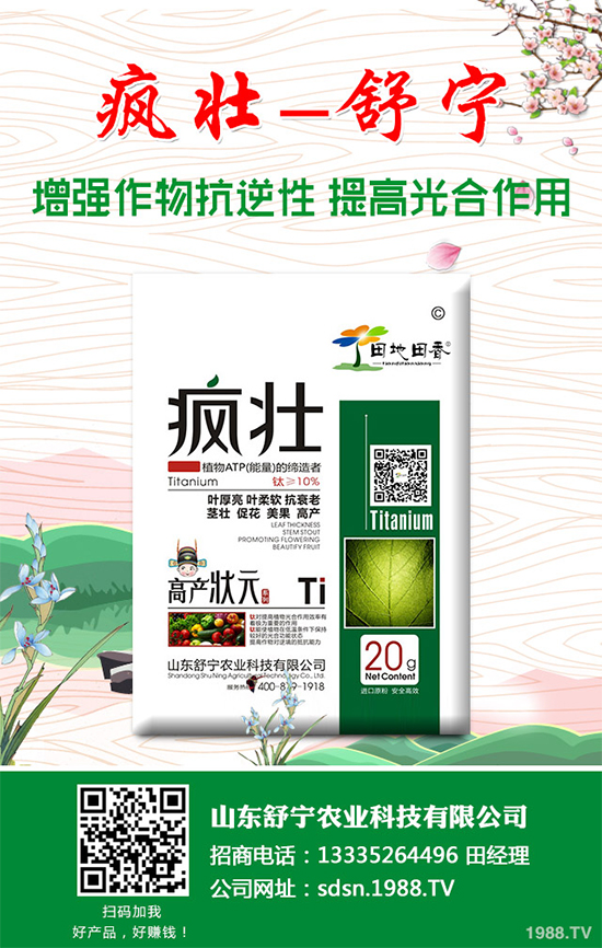 種植香菇需要投入多少?香菇種植成本利潤分析