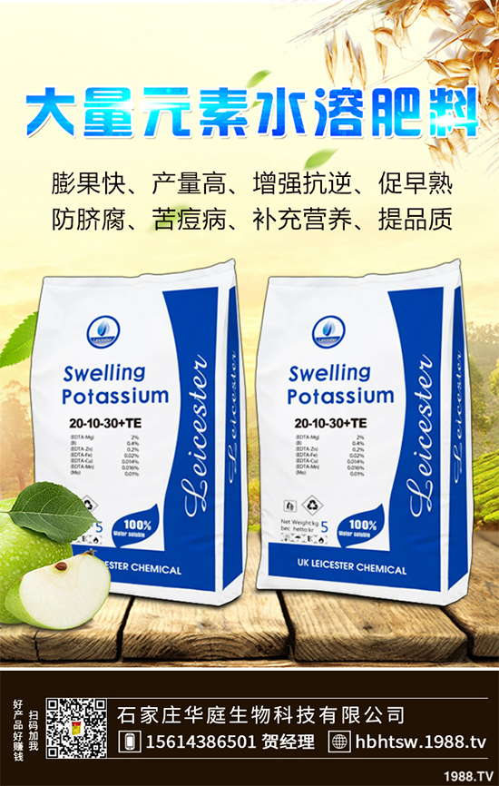 露地辣椒該如何施肥？露地辣椒高產(chǎn)施肥技術(shù)