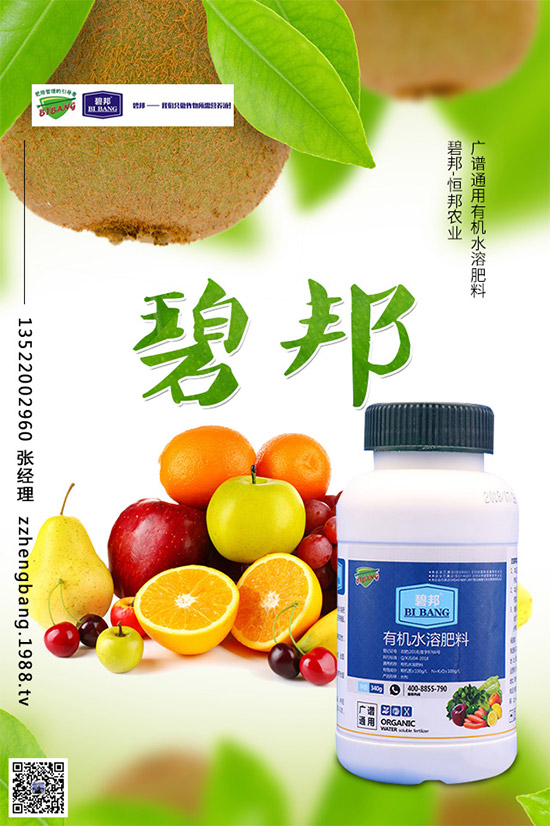 春季甘藍該如何種植？春甘藍高產(chǎn)管理技術(shù)