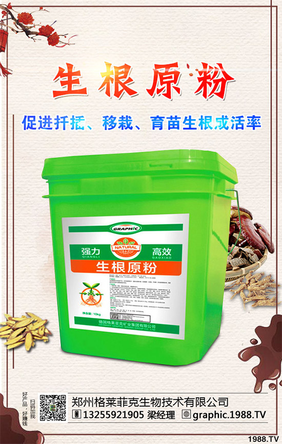 春季甘藍該如何種植？春甘藍高產(chǎn)管理技術(shù)