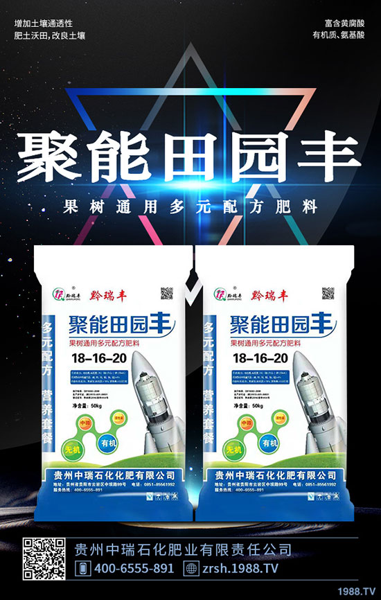 黑木耳的功效與作用，黑木耳營養(yǎng)價值及食用禁忌！