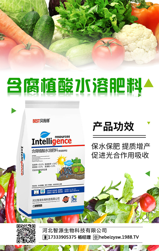 花菜科學(xué)種植方法與合理的田間管理大家了解嗎？