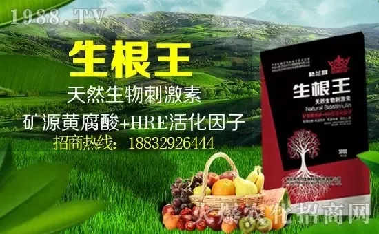 小麥漲價!個別報價超過2500元/噸!