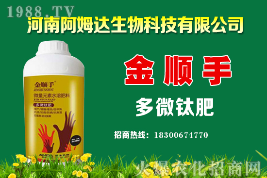 空心菜種植要點有哪些？空心菜又該怎么留種？