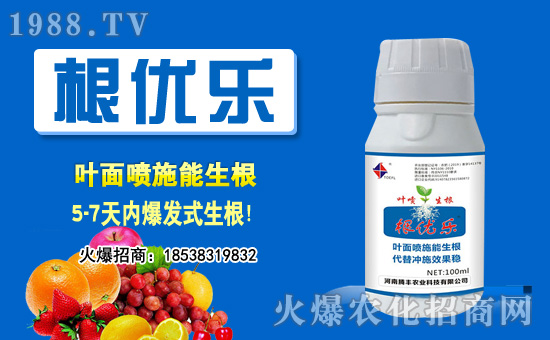 2020年10月10日花生價(jià)格行情綜述分析