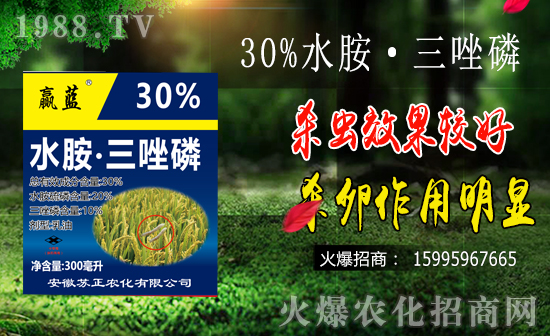 水稻鉆心蟲防治難點(diǎn)有哪些？水稻鉆心蟲危害及防治要點(diǎn)！